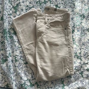 Vince corduroy pants